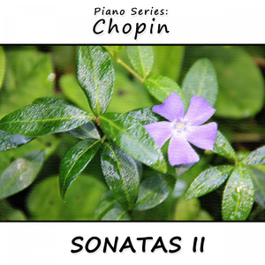 Preludes, Op. 28: 15 Sostenuto (Regentropfenprélude)