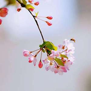 今夜好想有你陪