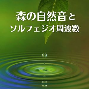 コオロギの鳴き声と水音