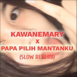 DJ KAWANEMARY X PAPA PILIH MANTAN KU (SLOW REVERB)VIRAL TIKTOK MENGKANE