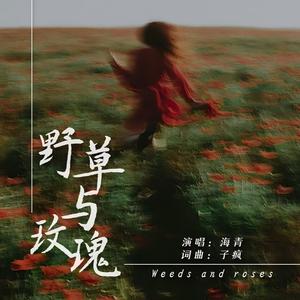 野草与玫瑰