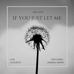 If You Just Let Me (feat. Amedeo Serra) (LIVE)