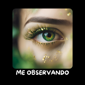 Me Observando