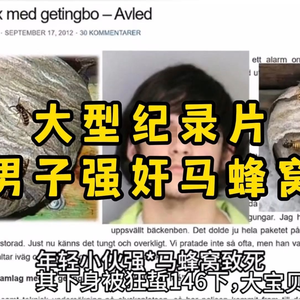 大型纪录片《男子强奸马蜂窝》