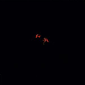 I Still (feat. Charlie Burg) (Live)