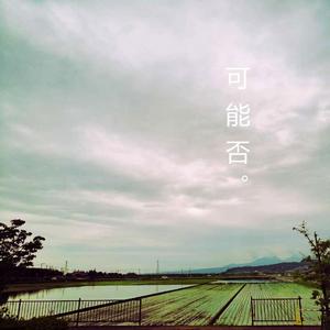 白山茶(抖音热门版)