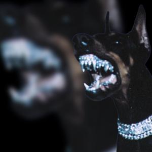 iDONT (DISCRIMINATE)