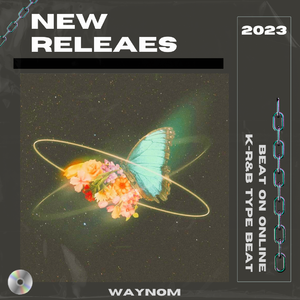 "Butterfly" | K-R&B Type beat #节奏玩家-采样10