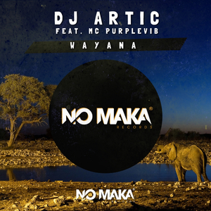 Wayana (Original Mix)