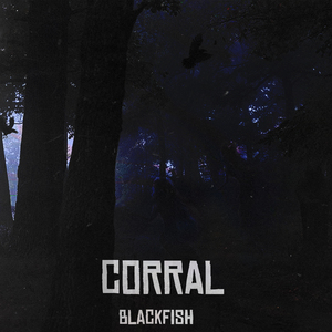 Corral