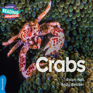 Crabs-US