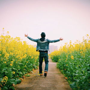 理想三旬（翻自 陈鸿宇）