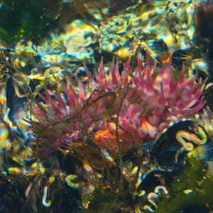 Feel free (Instrumental Version)