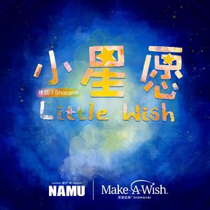 小星愿(上海愿望成真慈善基金会2020公益歌曲)