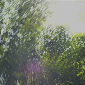 废墟上开不出过去的花