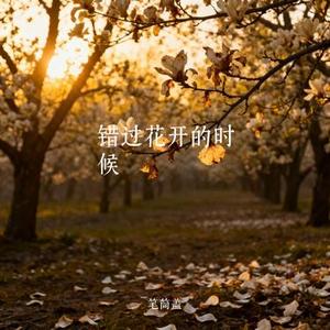 错过花开的时候 (Cover 于昊洋)