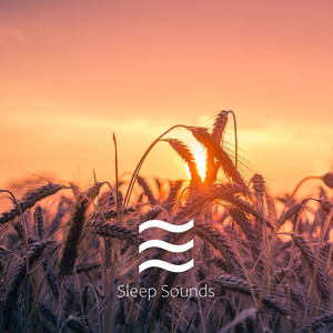 Deep sleep hums therapy