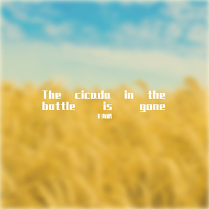The cicada in the bottle is gone