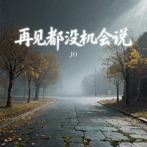 再见都没机会说