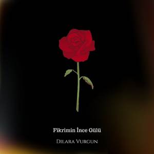 Fikrimin İnce Gülü
