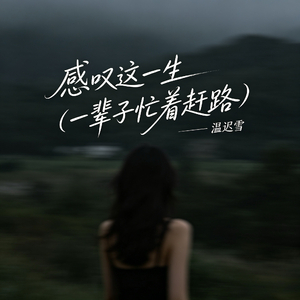 感叹这一生（一辈子忙着赶路）