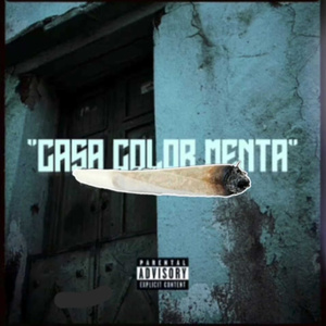 CASA COLOR MENTA