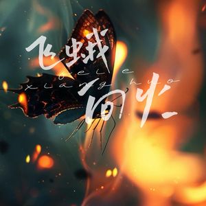 飞蛾向火(伴奏)