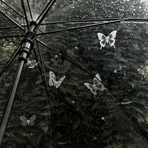 入秋的第一场雨真让人矫情