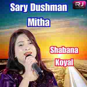 Sary Dushman Mitha