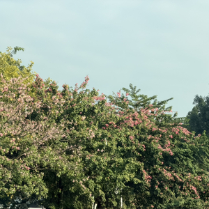 我学不会快乐，却精通了难过