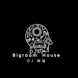 bigroom house