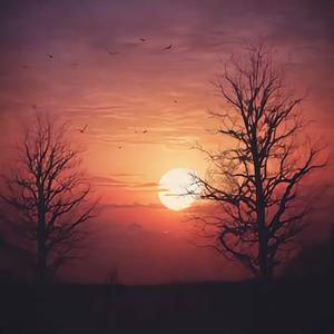 我绝对不会爱上你