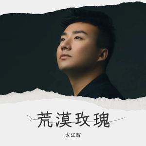 荒漠玫瑰 (伴奏)