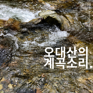 깊은 산에서 전해주는 싱그러움 ASMR (팀 말리부)