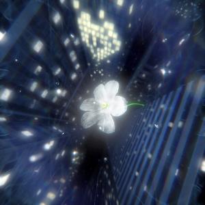 before u go (feat. shybot, Kodgy & Emia)