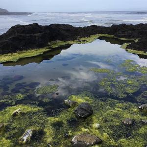 With You (NgẫuHứngRemix)