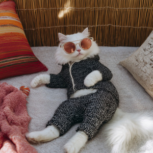 แมวครองใจ