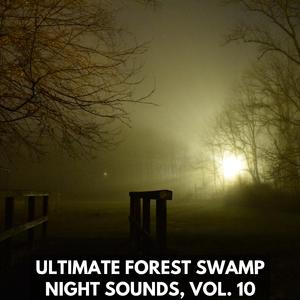 Coniferous Forest Stream Water