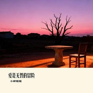 爱是无畏的冒险 (Cover 程今)