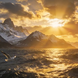 化为灰烬的记忆