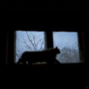 我会好好的（cover印子月）