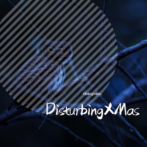DRAKE Type|Disturbing XMas