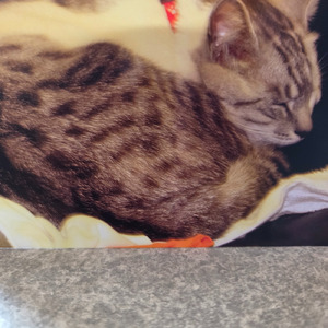 爽やか (feat. スミーキラー) [ばーじょんぜろ]