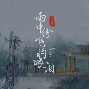 雨中纷飞的眼泪