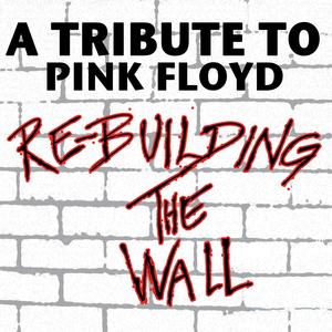 Another Brick In The Wall Part 2 (Dub Remix) (Cover Version)