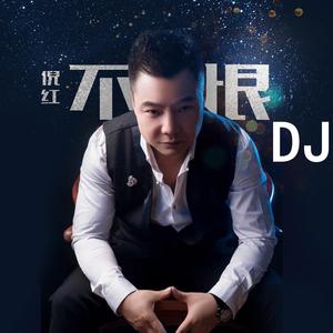 不恨 (DJ版)