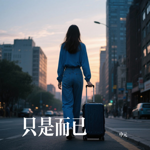 只是而已