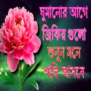 ঘুমানোর আগে জিকির গুলো একটি বার শুনুন ইনশাআল্লাহ মন ভালো হয়ে যাবে