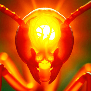 Marsch der Roten Ameisen