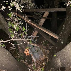 Sous l'eau zebi sous l'eau tu les vois les baleines?!